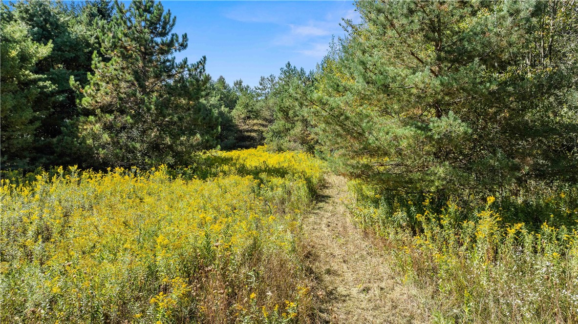 6301 Butts Road Prattsburgh, NY 14873 - Photo 8 of 32