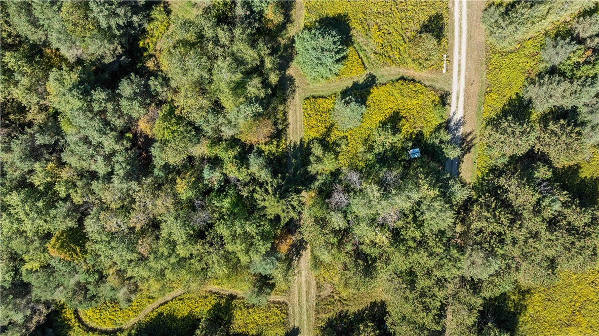 6301 Butts Road Prattsburgh, NY 14873 - Photo 10 of 32