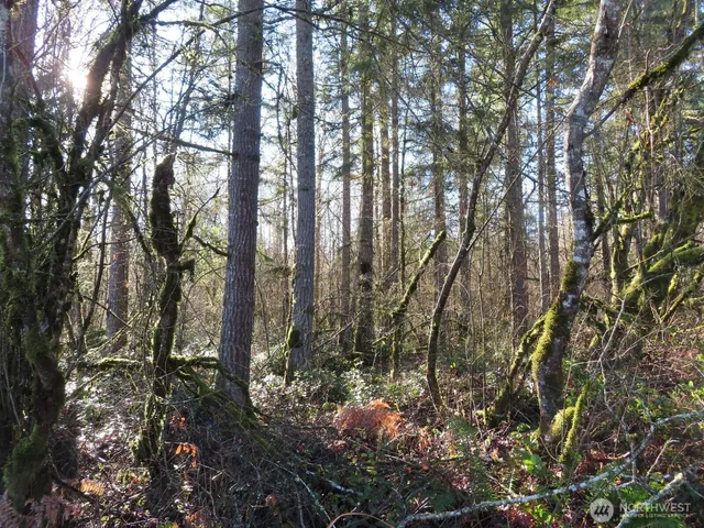 $109,900 | 115 Campground Lane, Winlock, WA 98596