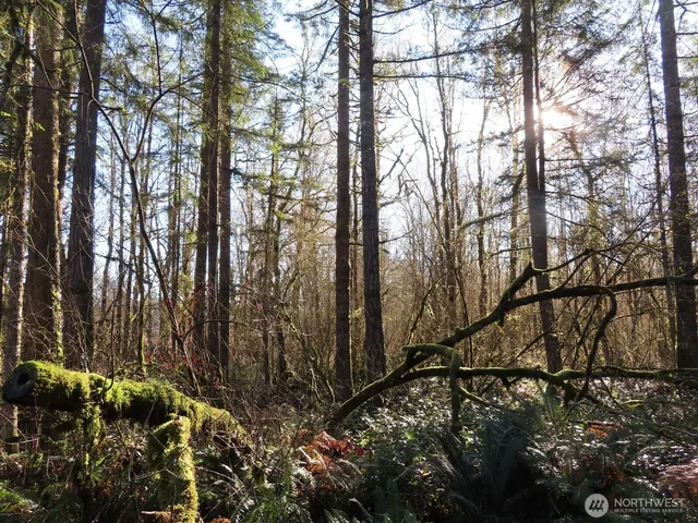 $109,900 | 115 Campground Lane, Winlock, WA 98596