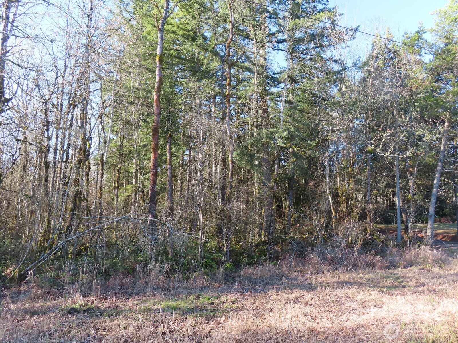 115 Campground Lane Winlock, WA 98596 - Photo 14 of 14
