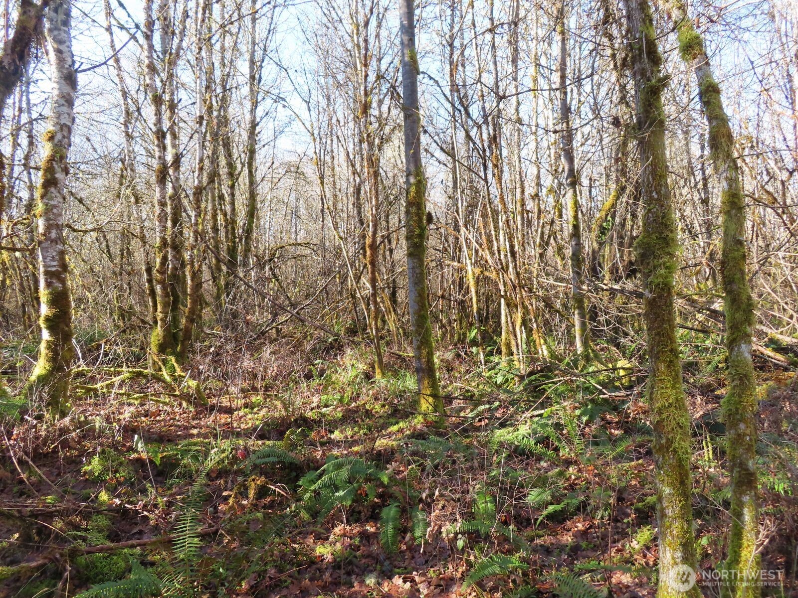 115 Campground Lane Winlock, WA 98596 - Photo 7 of 14