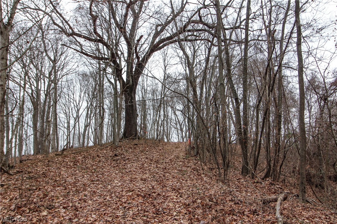 0 Mount Carmel Rdg Road St. Marys, WV 26170 - Photo 27 of 29 View of mother earth's splendor