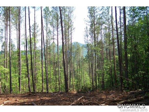 9.52-ac 9.52-ac Garrett Rd Mill Spring Mill Spring, NC 28756 - Photo 1 of 12