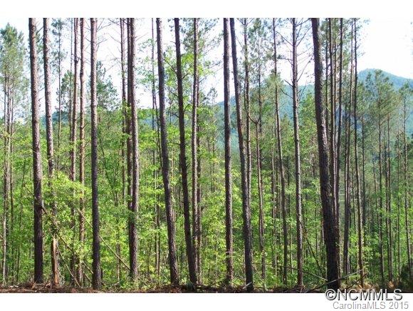 9.52-ac 9.52-ac Garrett Rd Mill Spring Mill Spring, NC 28756 - Photo 2 of 12