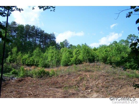 9.52-ac 9.52-ac Garrett Rd Mill Spring Mill Spring, NC 28756 - Photo 11 of 12