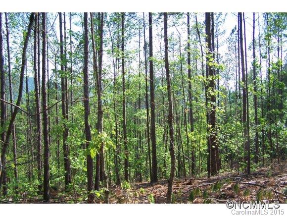 9.52-ac 9.52-ac Garrett Rd Mill Spring Mill Spring, NC 28756 - Photo 3 of 12
