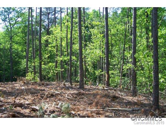 9.52-ac 9.52-ac Garrett Rd Mill Spring Mill Spring, NC 28756 - Photo 5 of 12