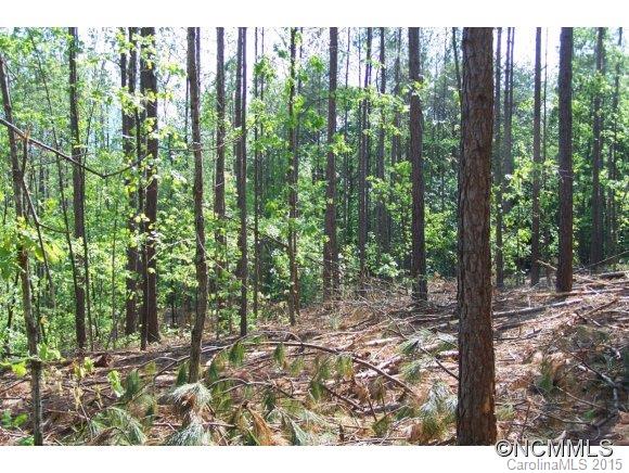 9.52-ac 9.52-ac Garrett Rd Mill Spring Mill Spring, NC 28756 - Photo 6 of 12