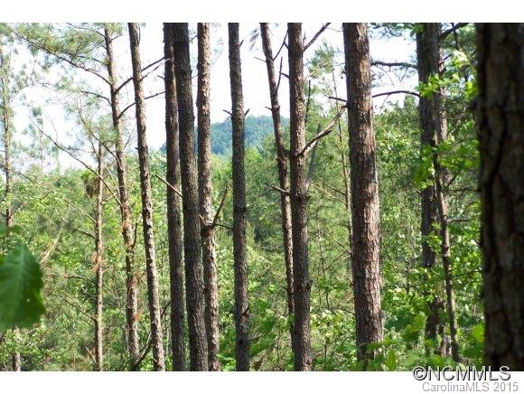 9.52-ac 9.52-ac Garrett Rd Mill Spring Mill Spring, NC 28756 - Photo 7 of 12