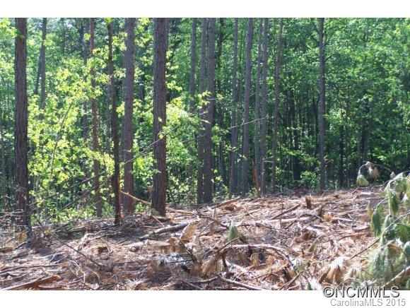 9.52-ac 9.52-ac Garrett Rd Mill Spring Mill Spring, NC 28756 - Photo 9 of 12