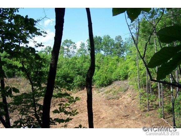 9.52-ac 9.52-ac Garrett Rd Mill Spring Mill Spring, NC 28756 - Photo 10 of 12