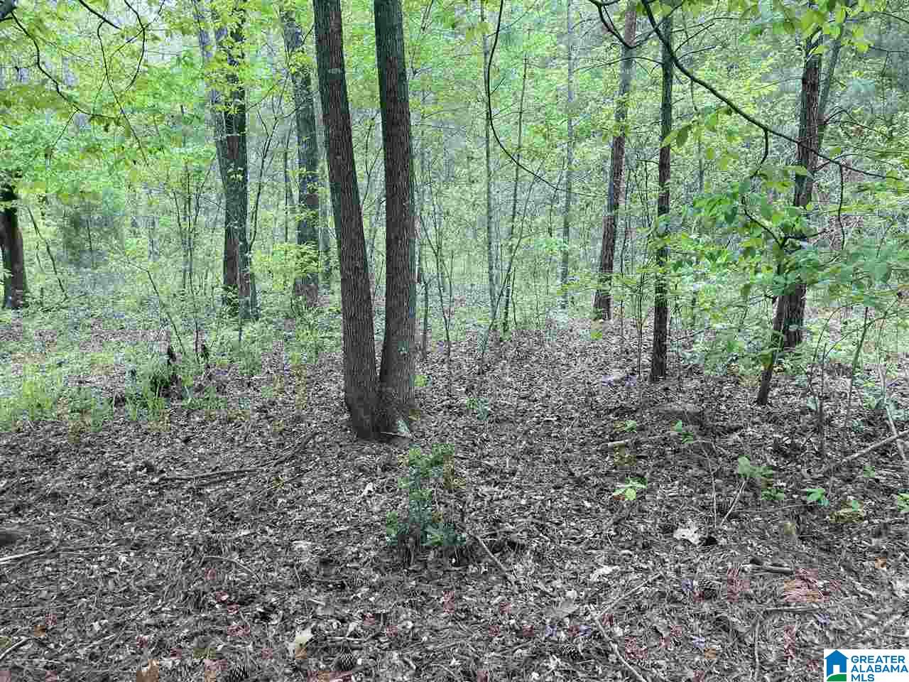0 Indian Trail Road, Unit 1 Pelham, AL 35124 - Photo 14 of 16 Gallery Image 14