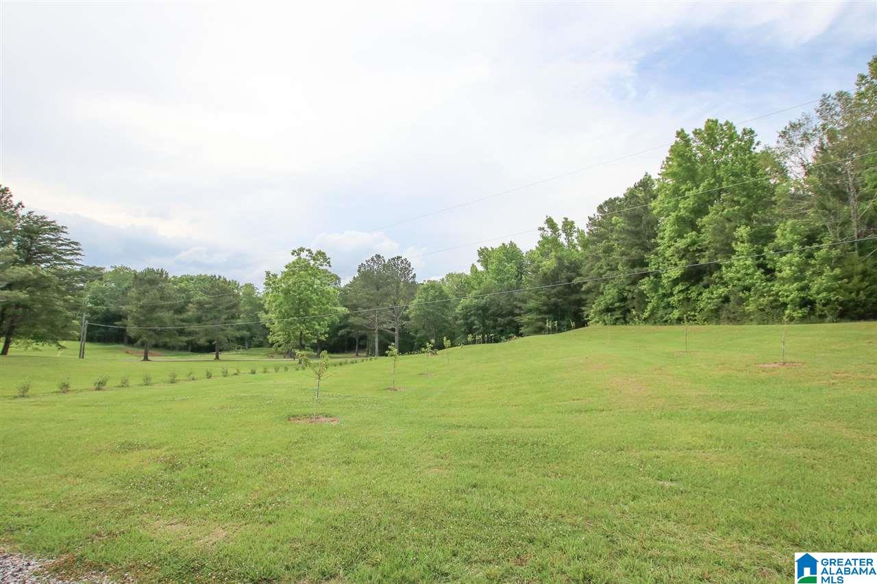 394 Drake Drive Springville, AL 35146 - Photo 48 of 49