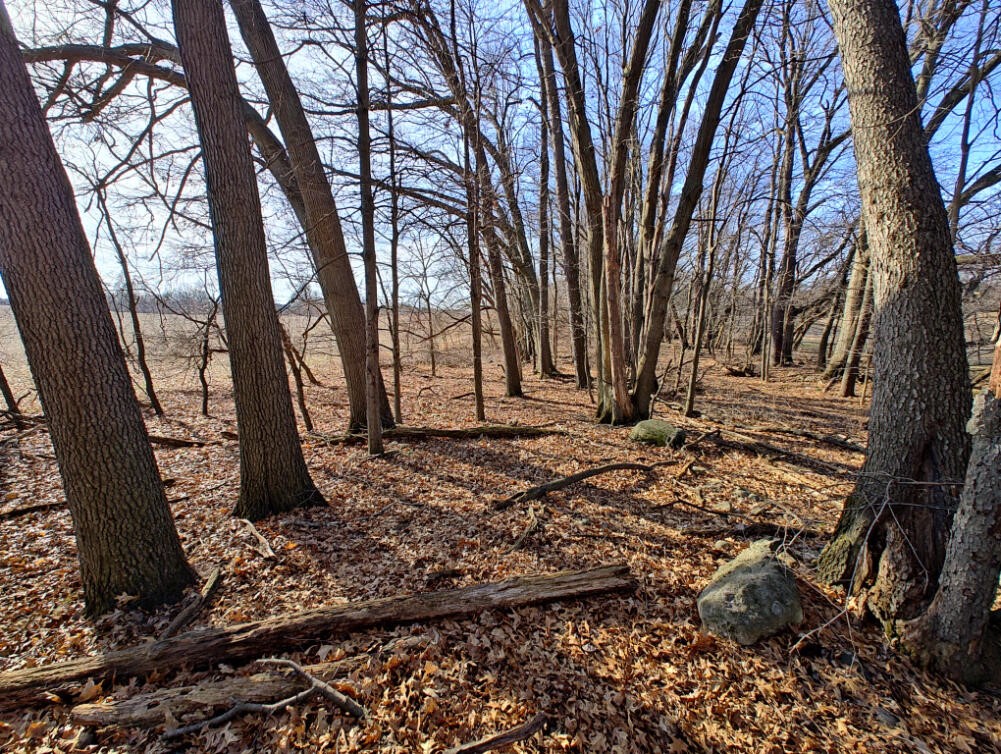 24 24 Mile Road Battle Creek, MI 49014 - Photo 20 of 56