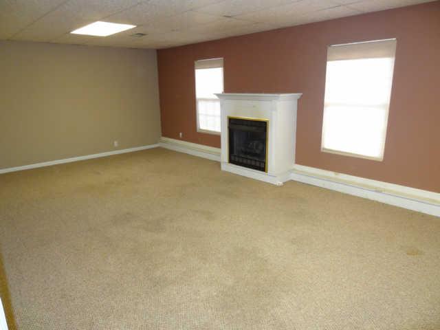 1052 Shadowbrook Drive Greenbrier, TN 37073 - Photo 10 of 20 Extra large rec room in basement, gas fireplace and there is a LARGE storage area in the closet. Full bath and utility also located in the basement.