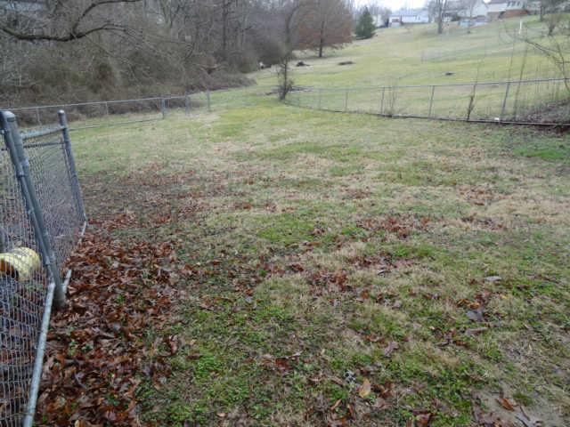 1052 Shadowbrook Drive Greenbrier, TN 37073 - Photo 17 of 20 Large, fenced backyard.