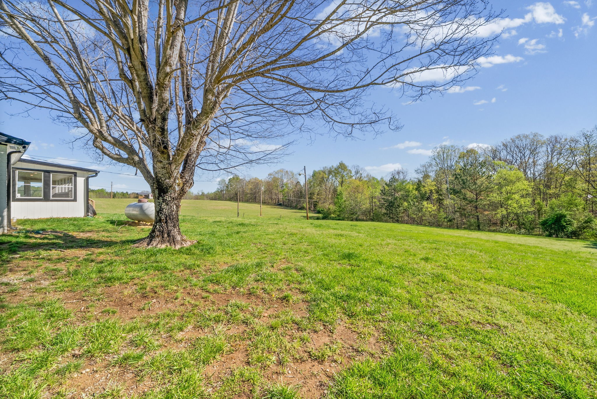 138 Walker Ridge Road Big Rock, TN 37023 - Photo 32 of 37 a view of a trees in a yard
