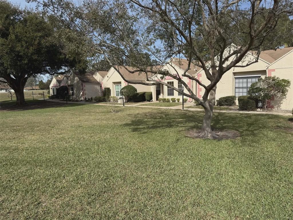 11337 Versailles Lane Port Richey, FL 34668 - Photo 23 of 31