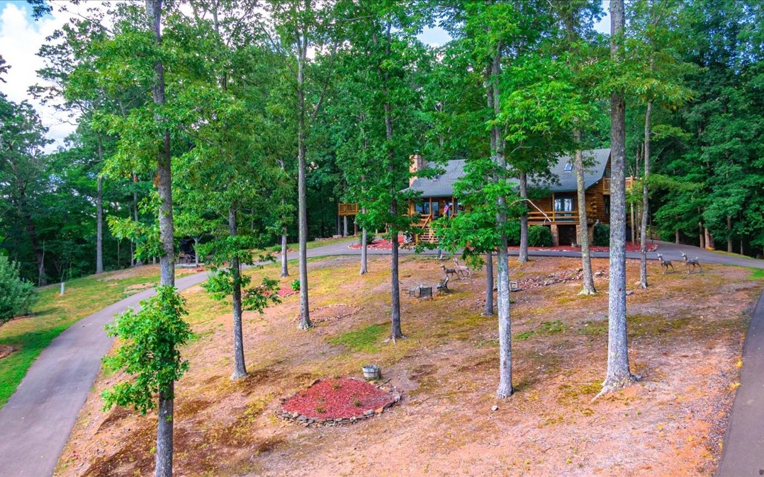 470 Yellowbird Trail Blue Ridge, GA 30513 - Photo 43 of 62 Additional View