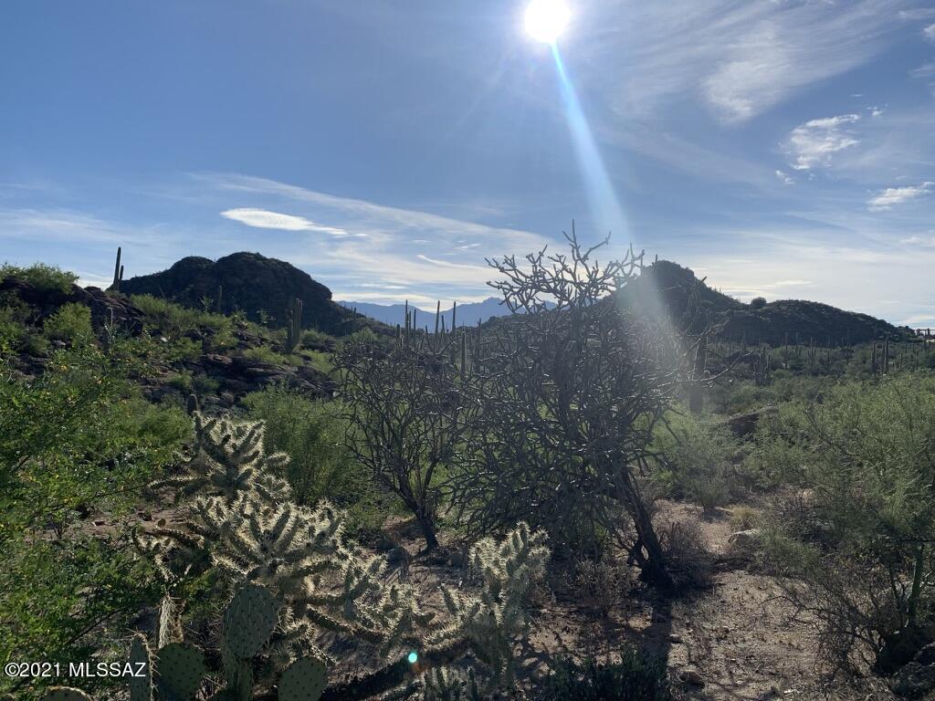 North Sacred Canyon Road Marana, AZ 85658 - Photo 13 of 16