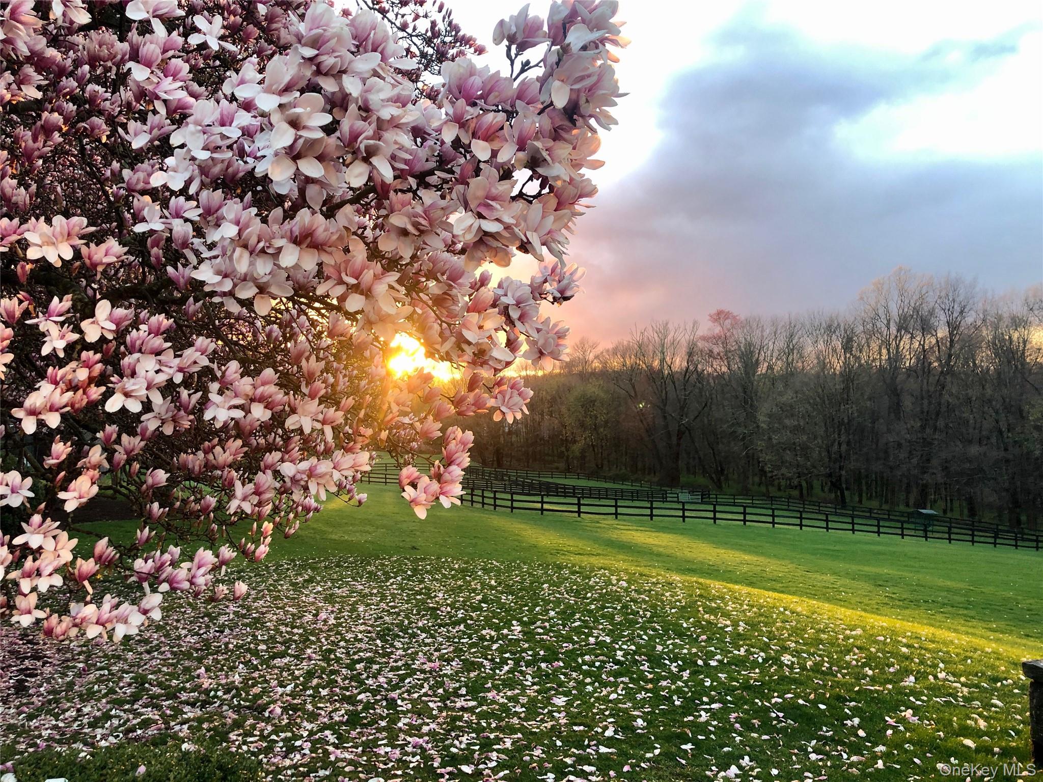 149 Narrows Road Bedford Hills, NY 10507 - Photo 30 of 33