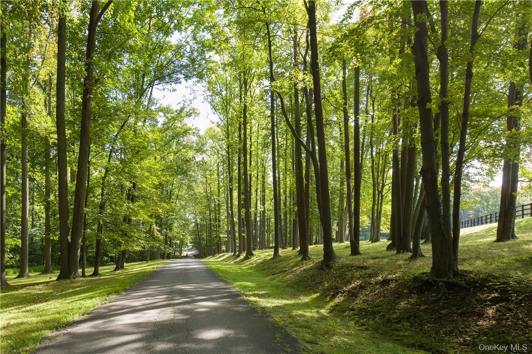 149 Narrows Road Bedford Hills, NY 10507 - Photo 31 of 33