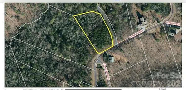 a view of a street with a trees in the background