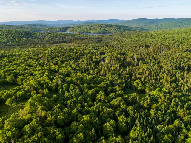 $75,000 | 7 Diamond Pond Road, Unit B, Stewartstown, NH 03576