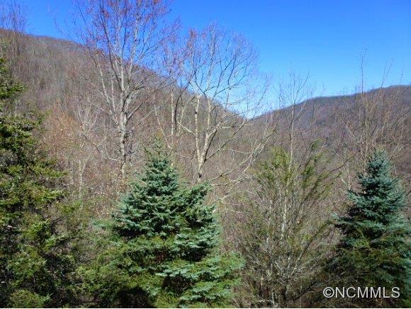 186 Hidden Cove Road Maggie Valley, NC 28751 - Photo 4 of 24 Gallery Image 4