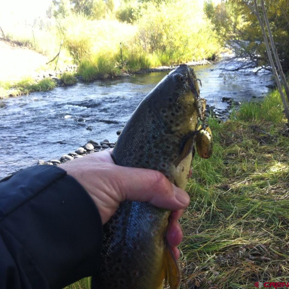 205 Spring Meadow Trail Gunnison, CO 81230 - Photo 33 of 34 a view of a yard