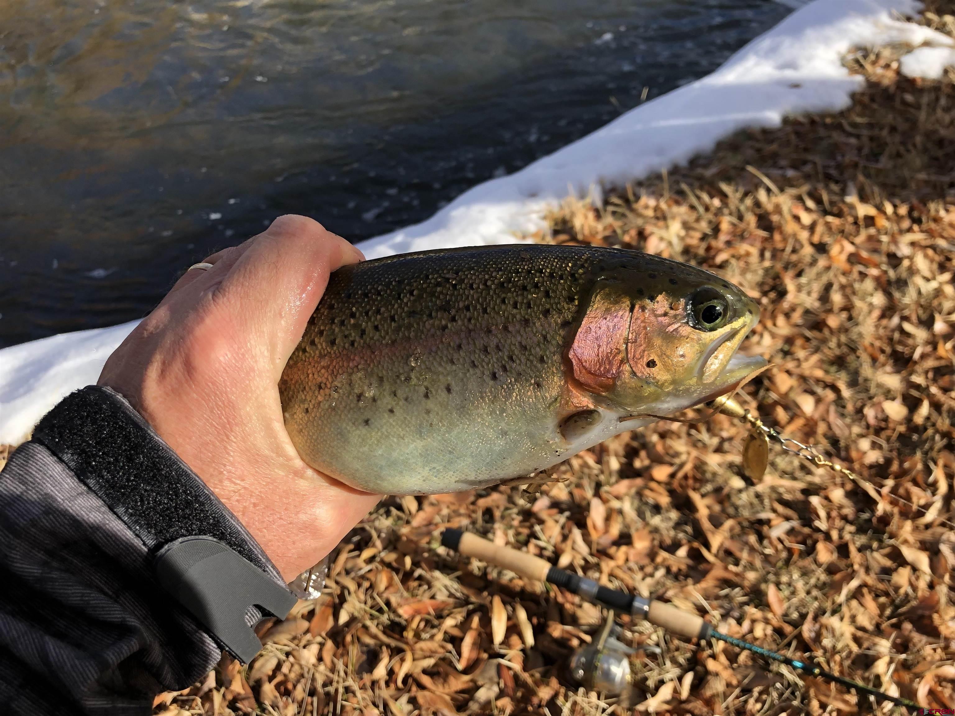 205 Spring Meadow Trail Gunnison, CO 81230 - Photo 34 of 34