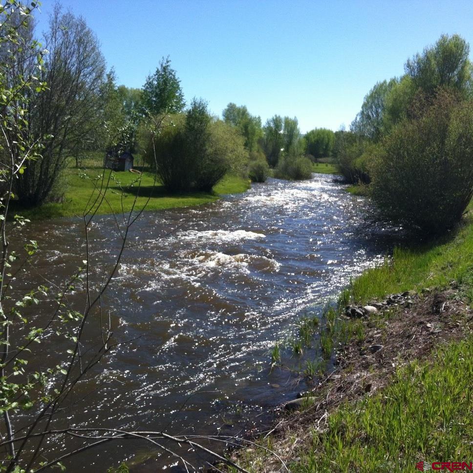 205 Spring Meadow Trail Gunnison, CO 81230 - Photo 7 of 34 a view of a field with trees in background