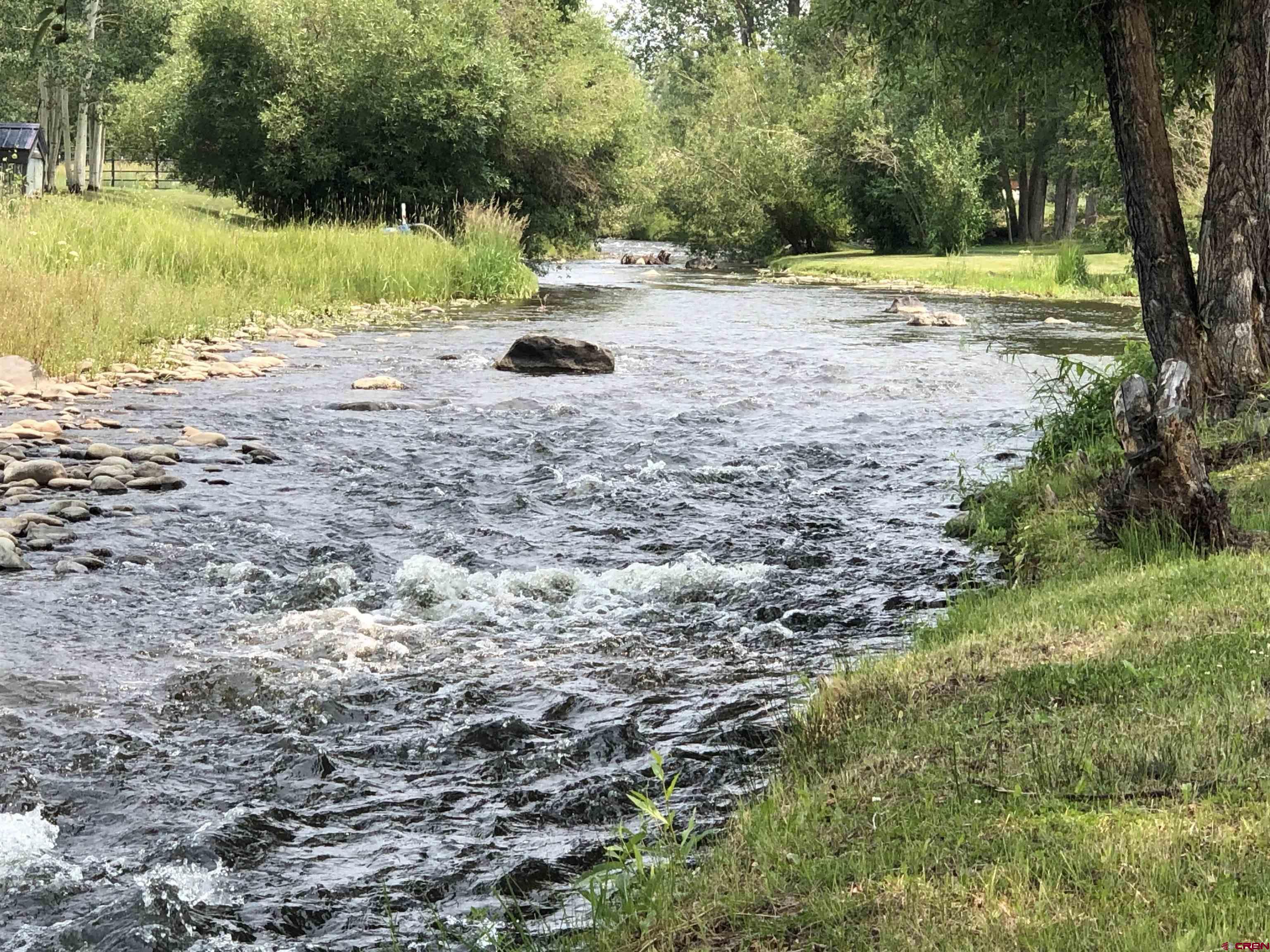 205 Spring Meadow Trail Gunnison, CO 81230 - Photo 8 of 34 a view of a yard with swimming pool