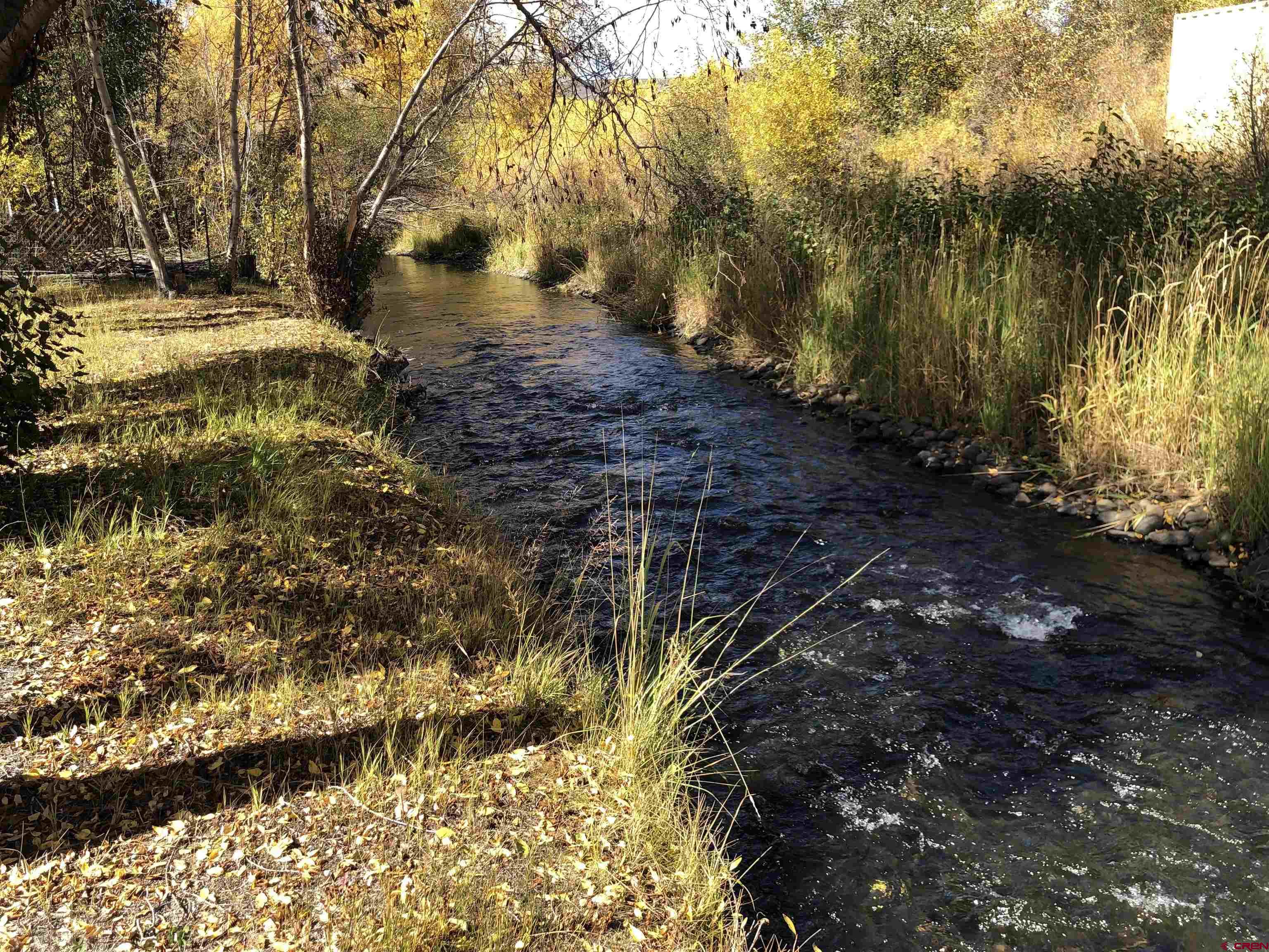205 Spring Meadow Trail Gunnison, CO 81230 - Photo 10 of 34 a view of yard with green space