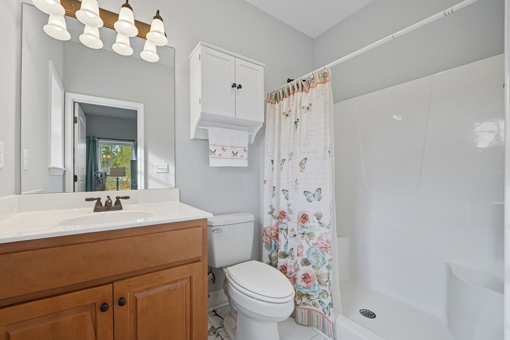 716 Old Pleasant Valley Road Talking Rock, GA 30175 - Photo 42 of 58 a bathroom with a sink a toilet and a mirror