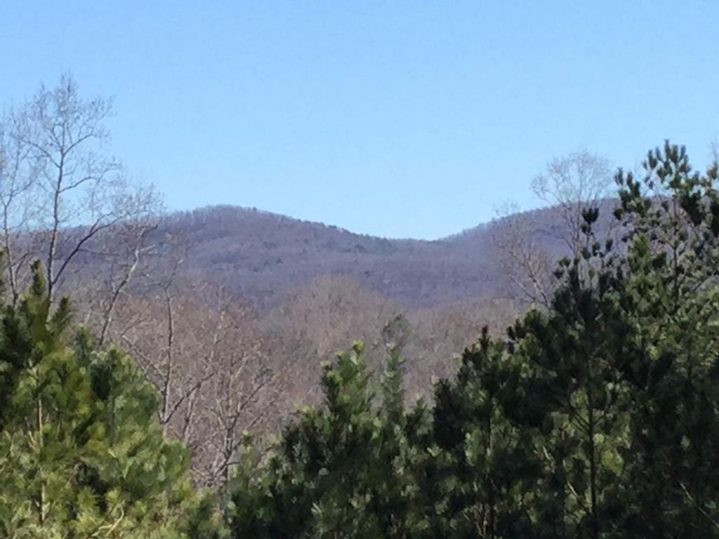 716 Old Pleasant Valley Road Talking Rock, GA 30175 - Photo 58 of 58 a view of mountains and valleys