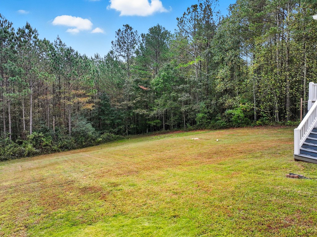 716 Old Pleasant Valley Road Talking Rock, GA 30175 - Photo 10 of 58 a view of a yard with a trees
