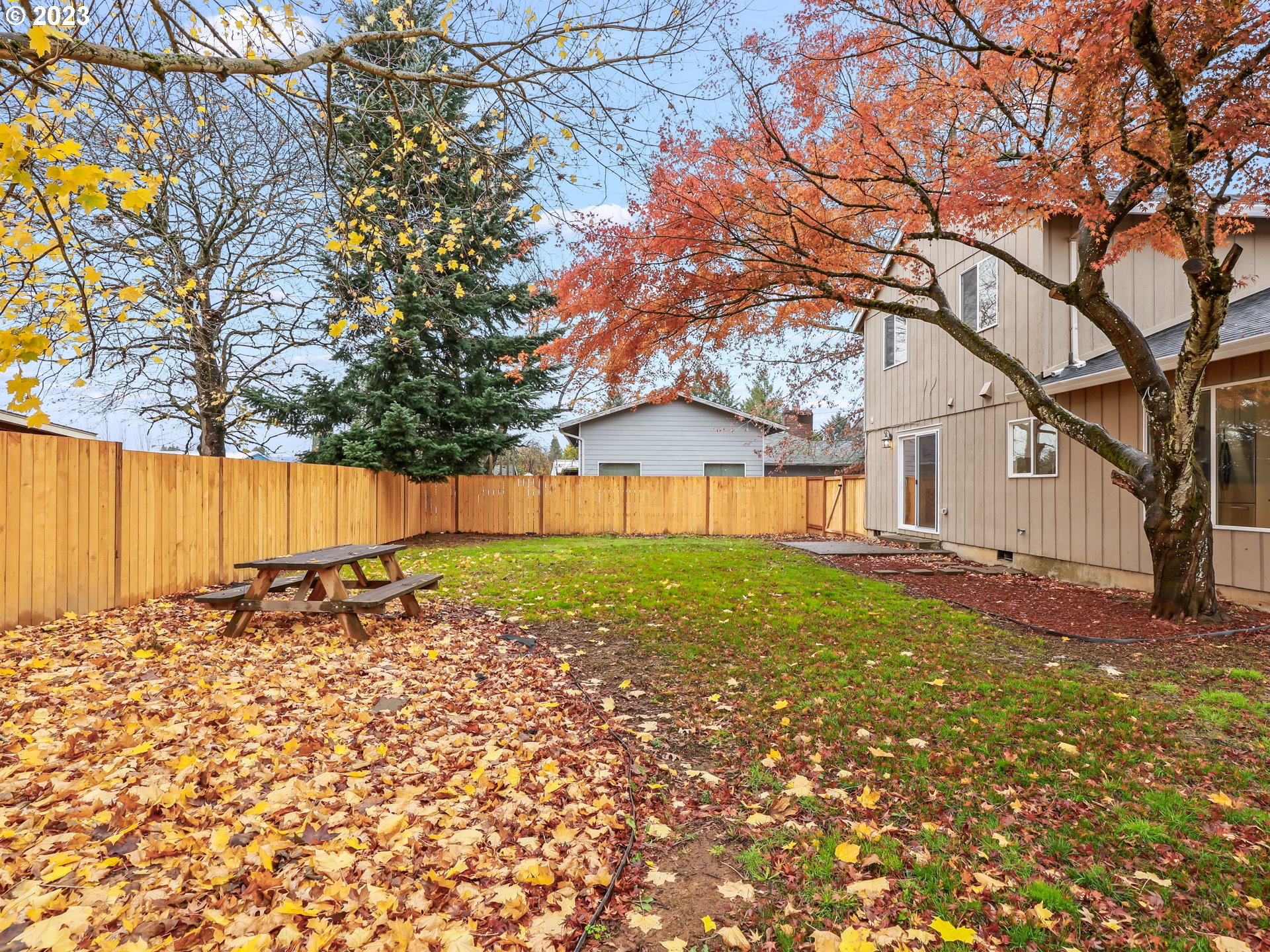 1203 Southeast Barnes Road Gresham, OR 97080 - Photo 37 of 43 a view of a backyard with a tree