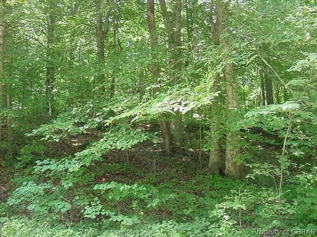 0 Stream And Marlfield Rd Drive Gloucester, VA 23061 - Photo 5 of 6 Gallery Image 5