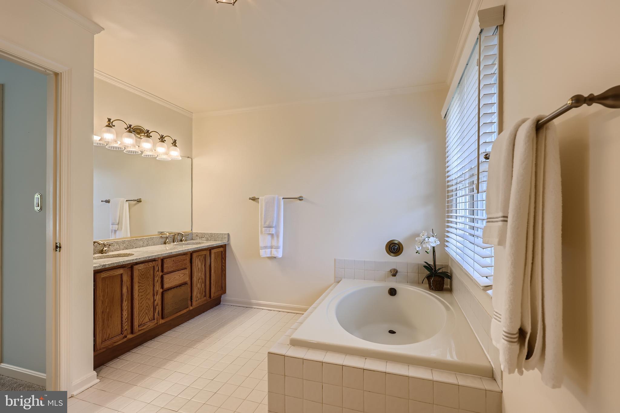 1308 Denby Road Towson, MD 21286 - Photo 21 of 35 Large Master Bath with soaking tub