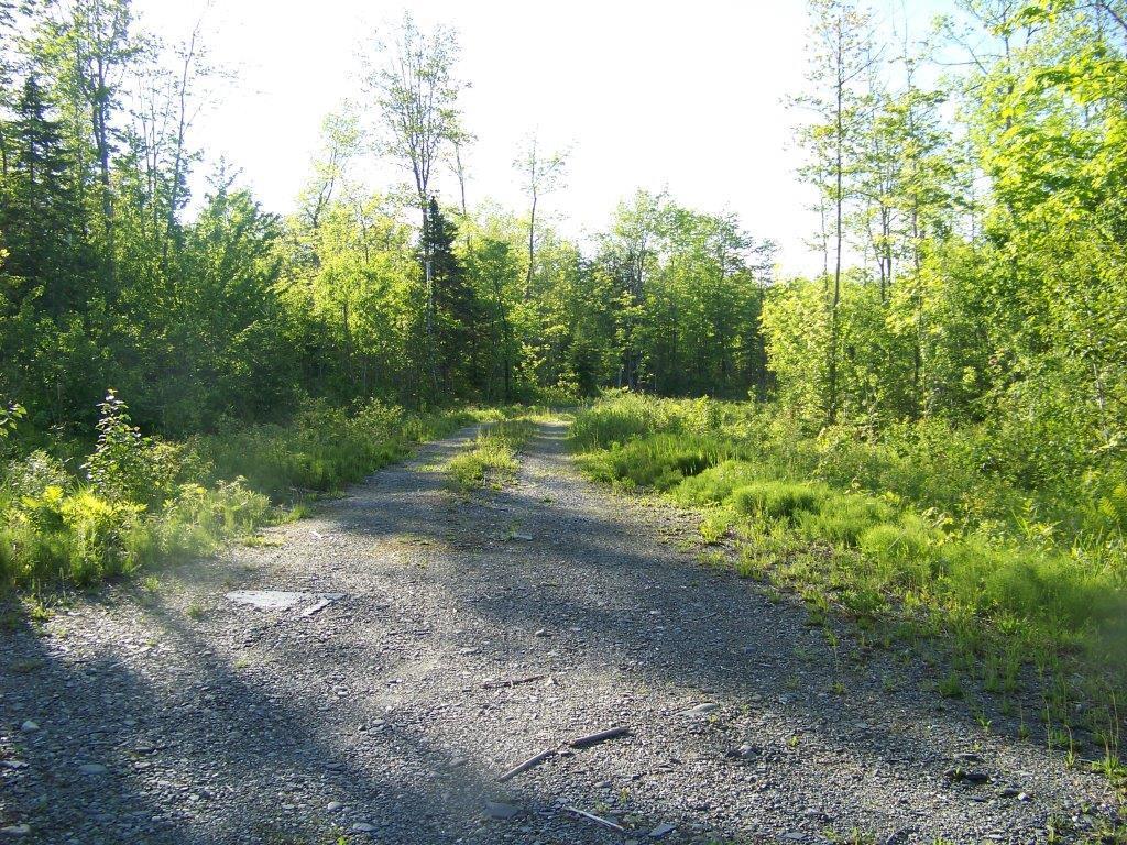 0 Tenny Hill Road Monson, ME 04464 - Photo 5 of 11 Photo