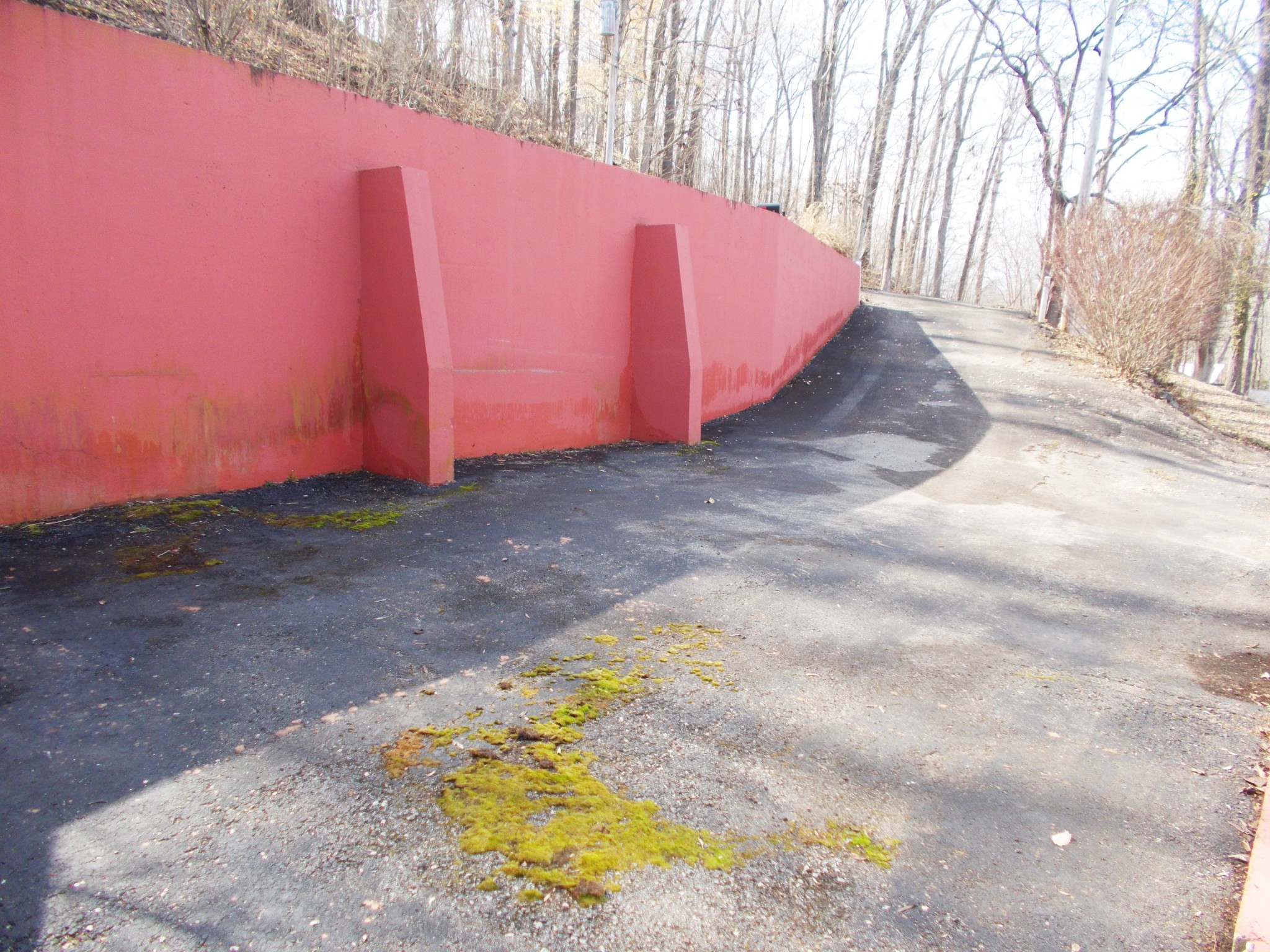 696 Stirling Road Camden, TN 38320 - Photo 44 of 50