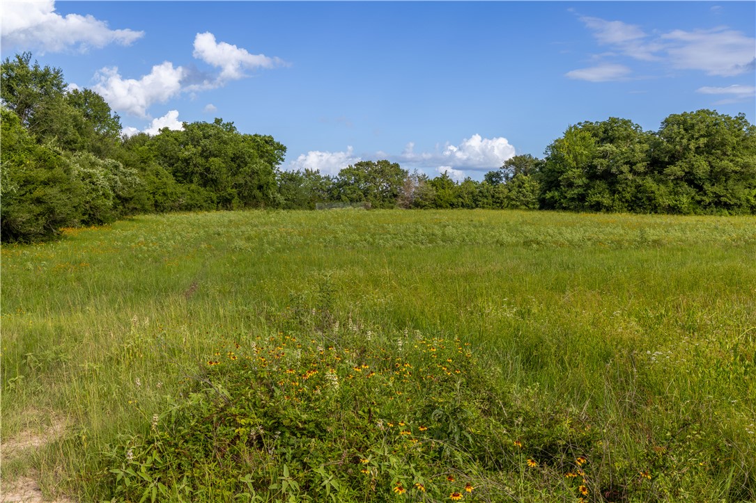 10102 Ferrill Creek Road Bryan, TX 77808 - Photo 28 of 29