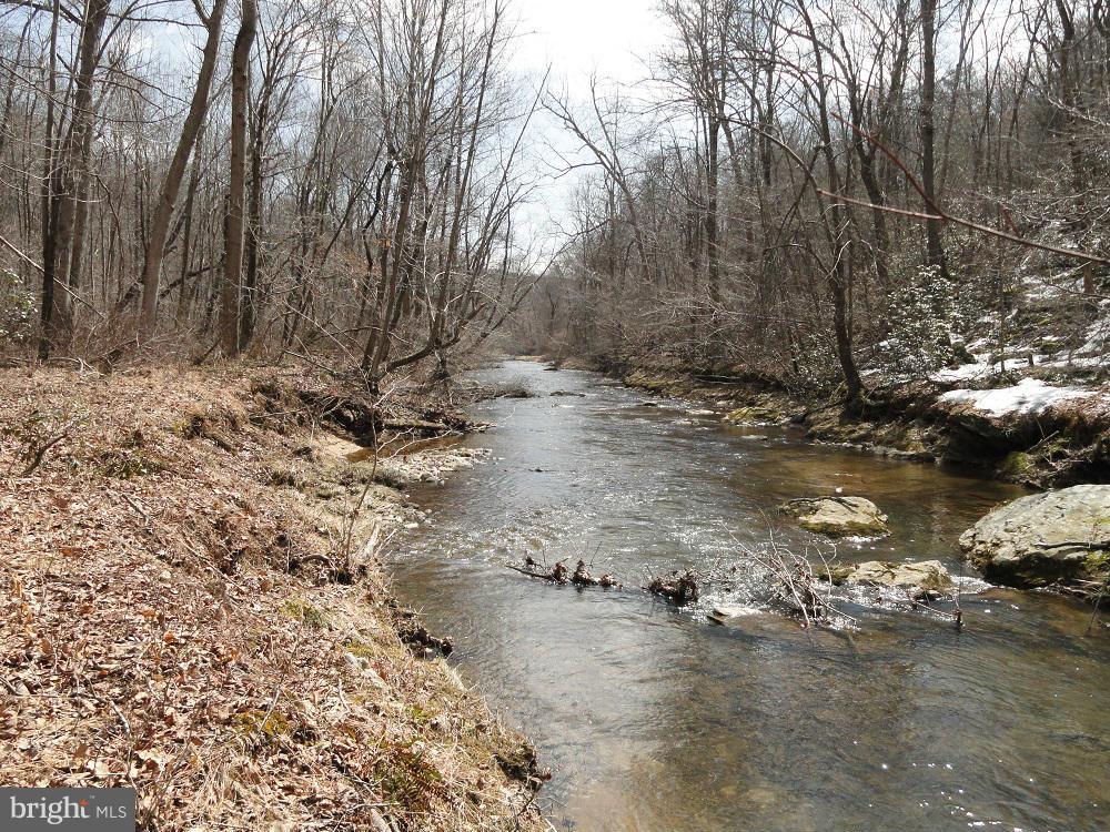 20020 Valley Mill Road Freeland, MD 21053 - Photo 22 of 30 a view of water with a large tree