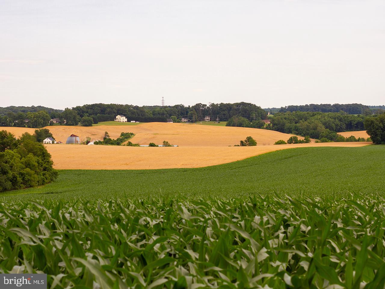117 St Marys Road Pylesville, MD 21132 - Photo 3 of 49 Imagine this view every day.
