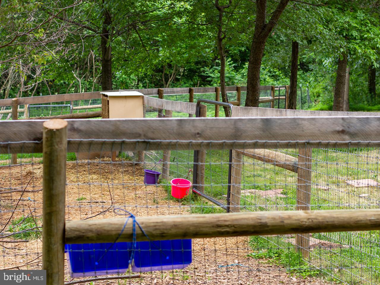 117 St Marys Road Pylesville, MD 21132 - Photo 47 of 49 Goat pen
