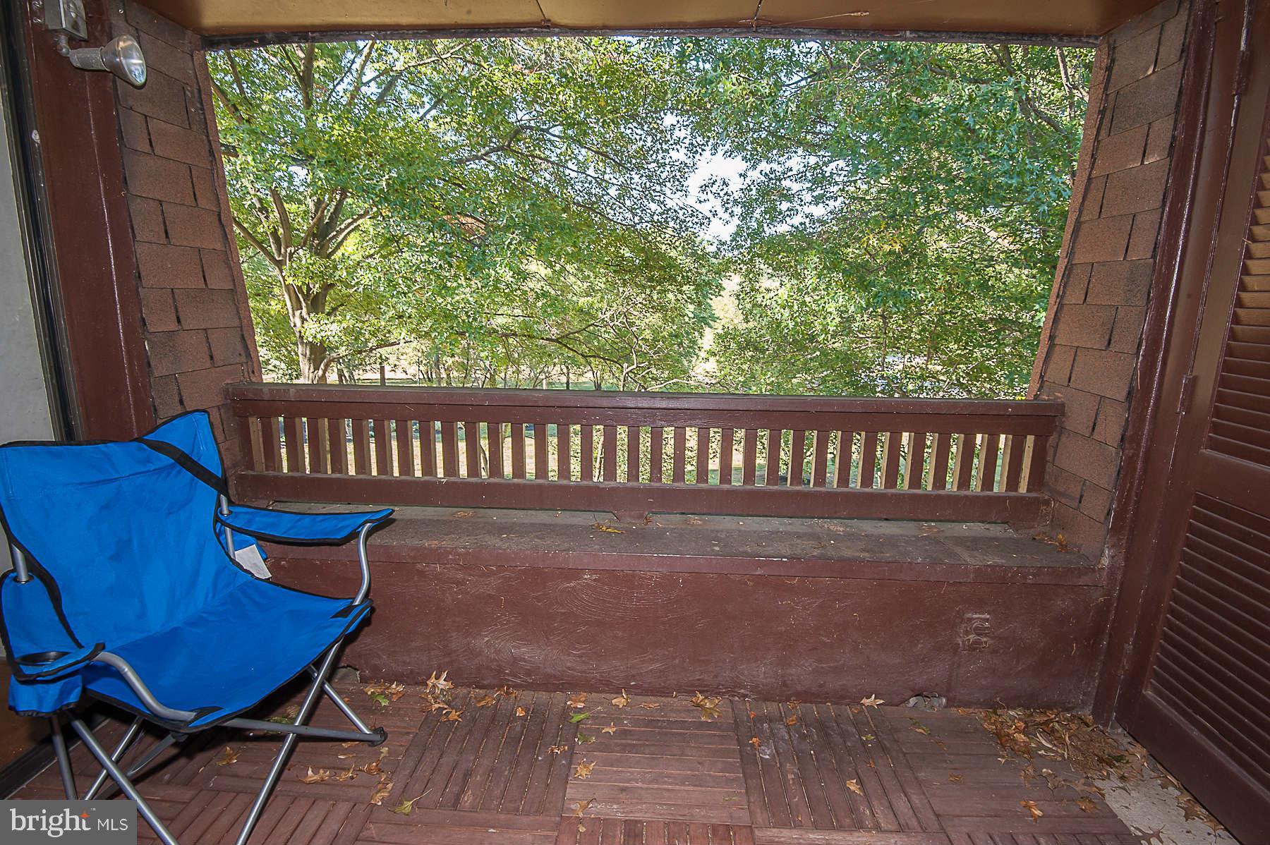 5253 West Running Brook Road, Unit 301 Columbia, MD 21044 - Photo 18 of 21 Balcony