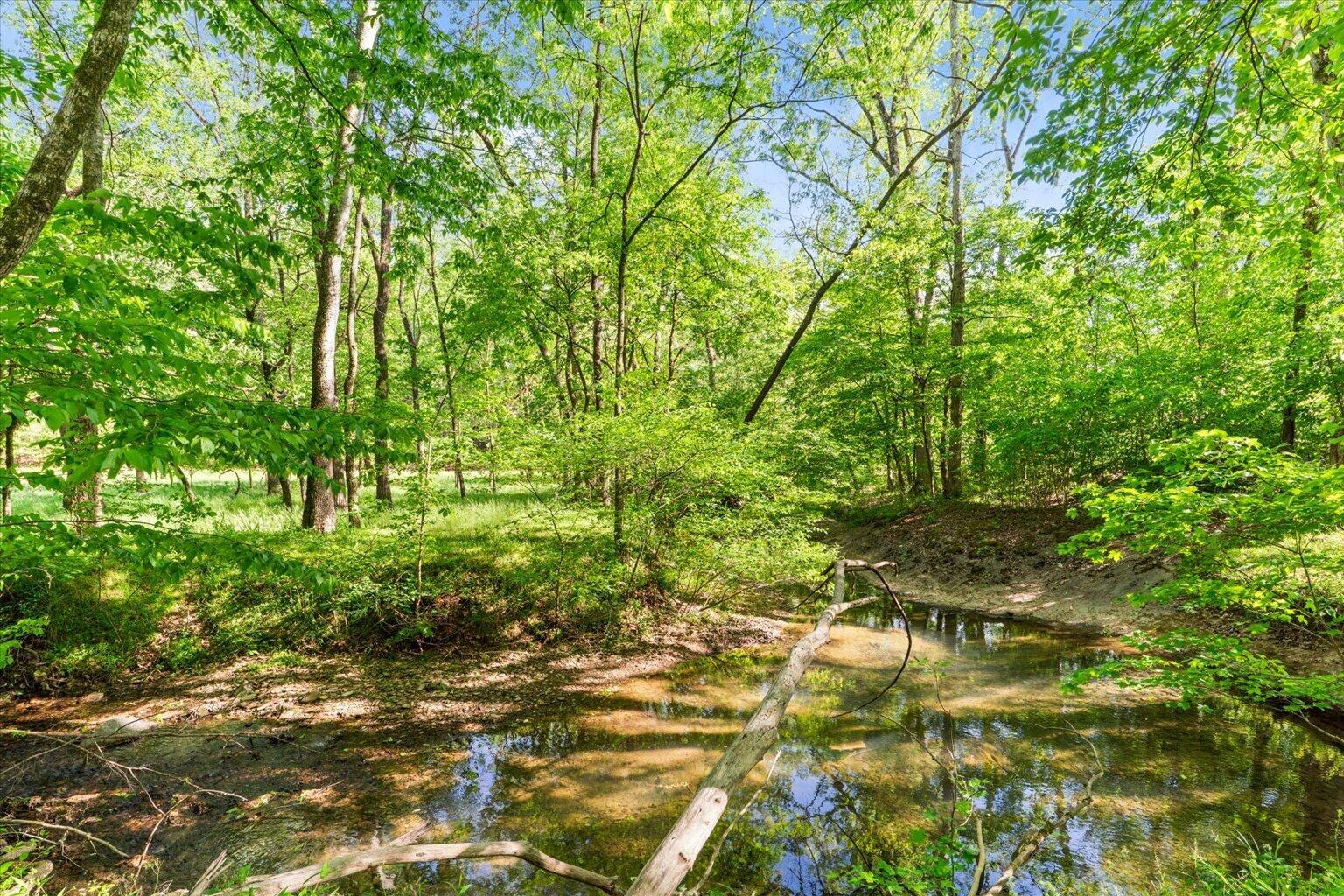 1021 Liberty Church Road Northeast Ranger, GA 30734 - Photo 15 of 83 104-DSC06245
