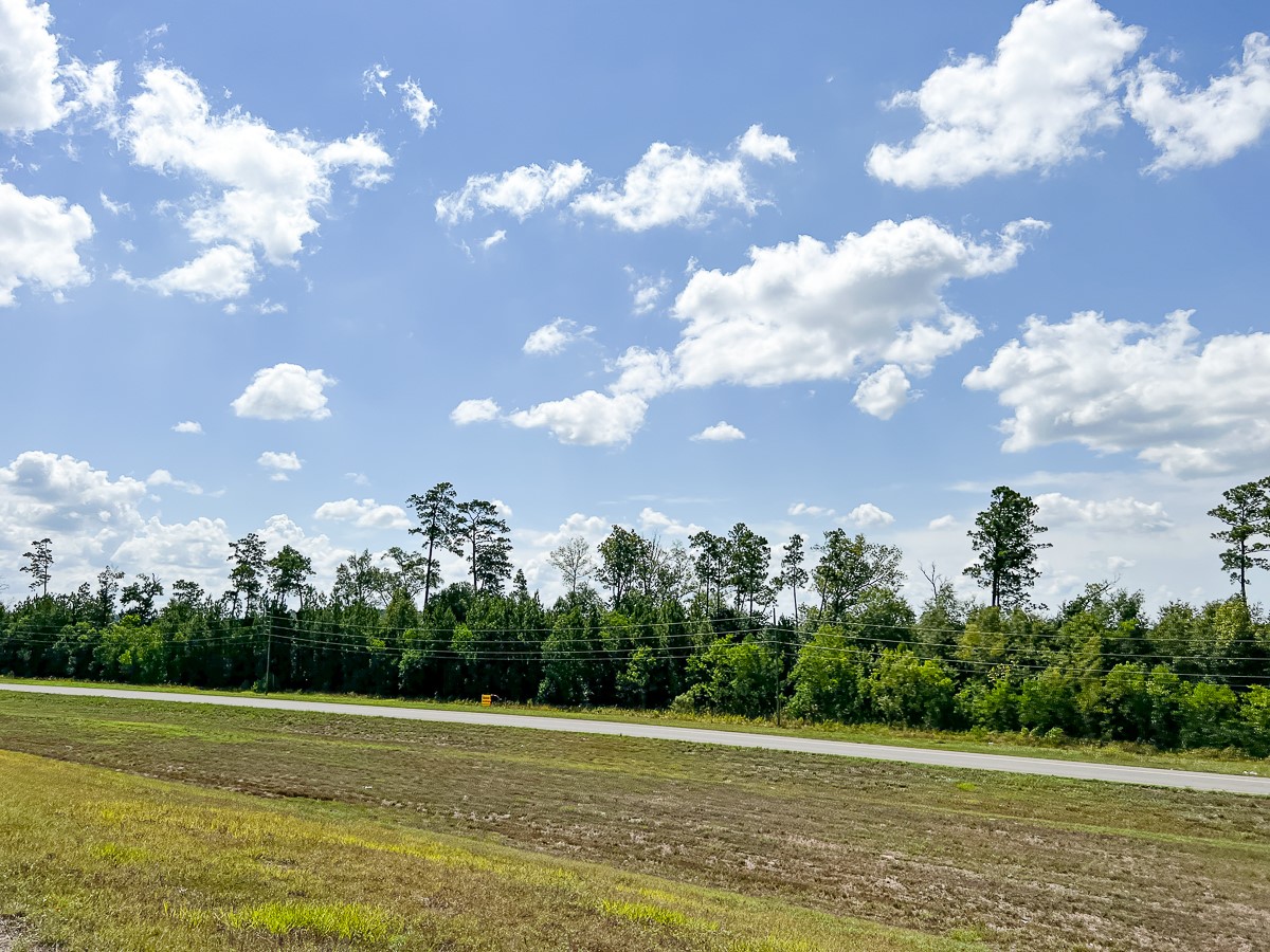 0 Fm 1010 Cleveland, TX 77327 - Photo 11 of 35 a view of a big yard